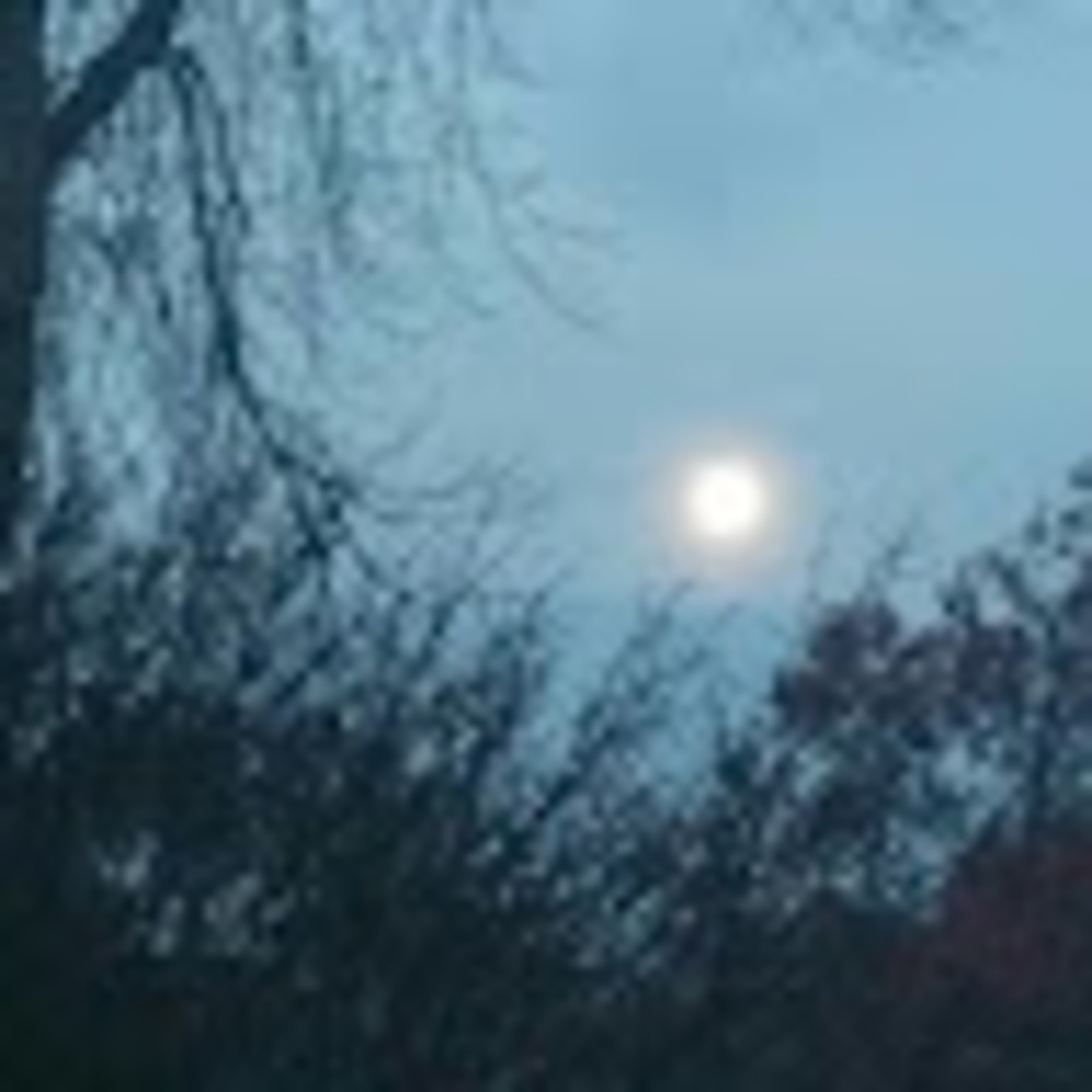 Meet your Posher, Cheryll